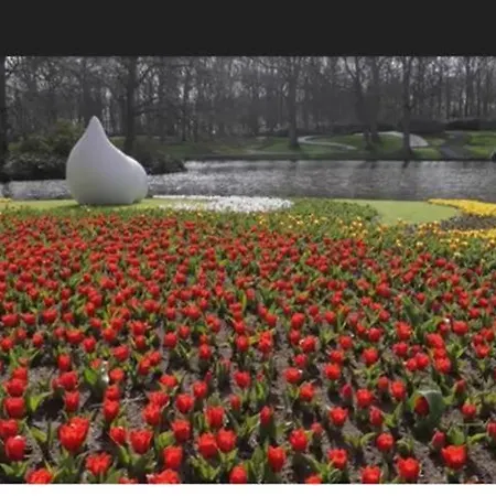 Il Mulino House D, Keukenhof Appartamento