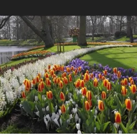 Il Mulino House D, Keukenhof